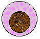 junger Lymphozyt