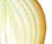 Zwiebel